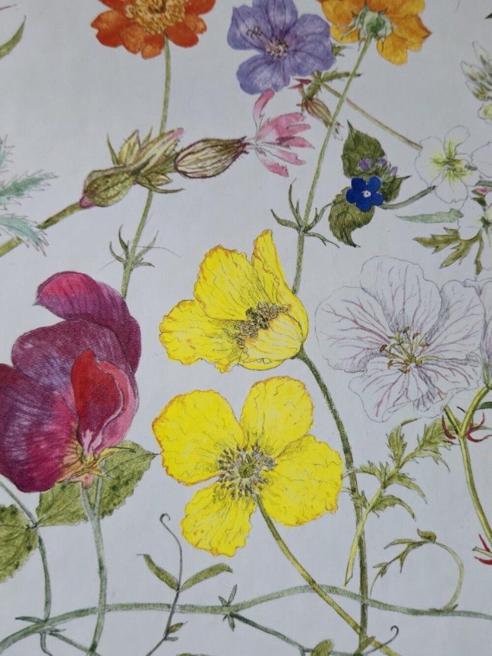 Beshlie Grandmother's Album A Keepsake for Sharing Pop-Up Floral Book '92 1st Ed - Picture 5 of 15